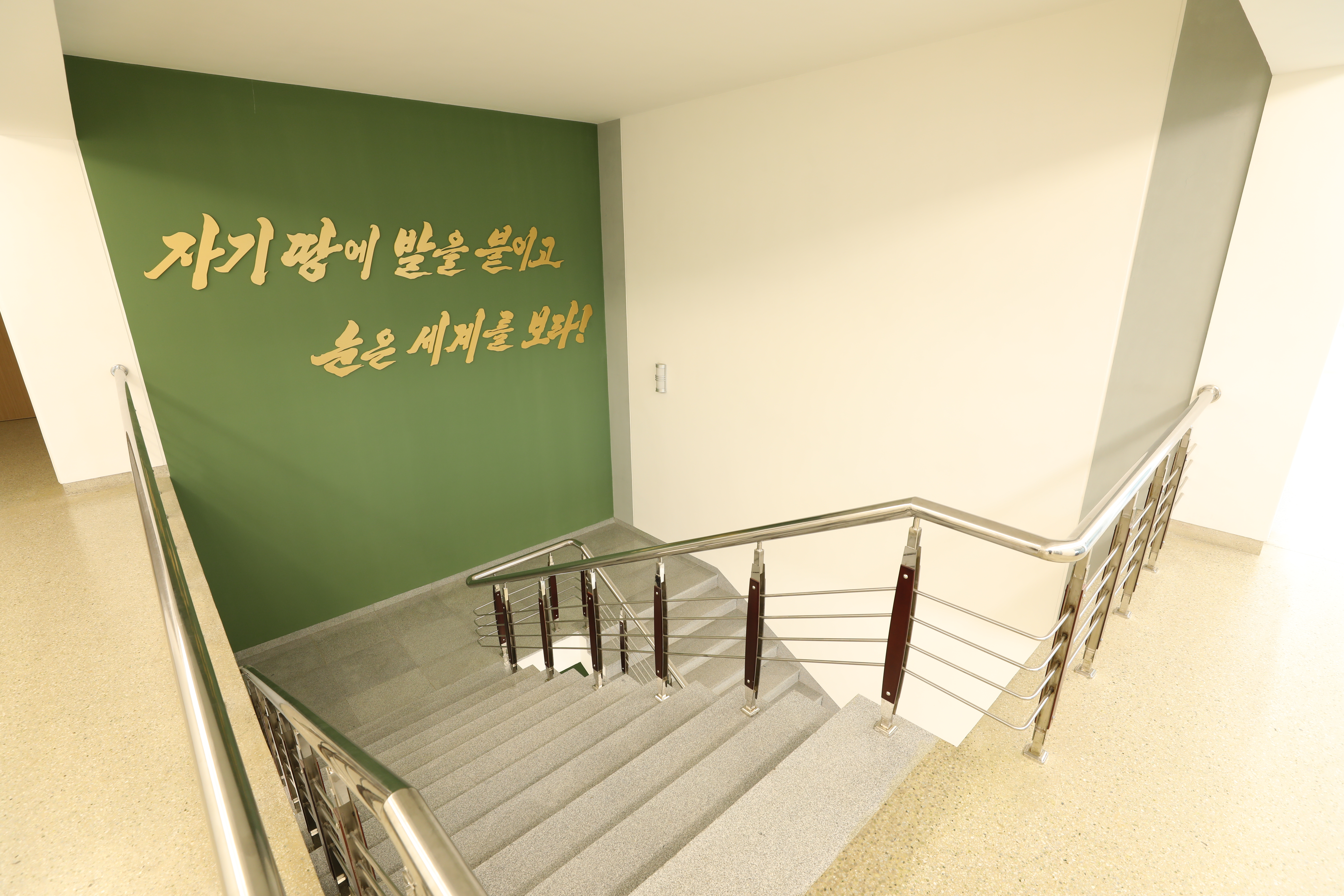 사진없음